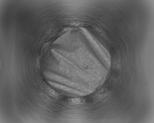 X0000052570473200507221507