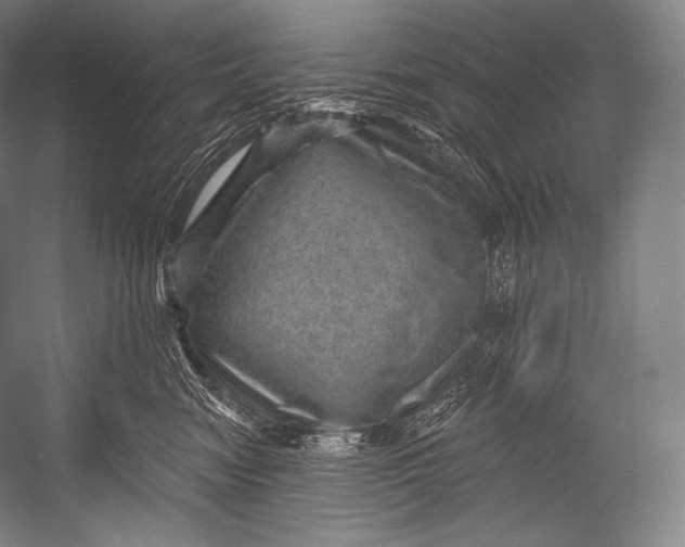 X0000052570474200507221507