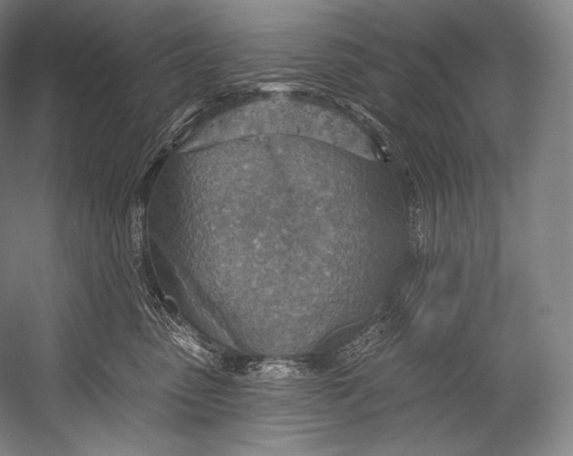 X0000052570475200507221507