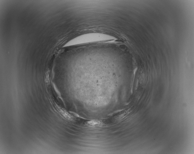 X0000052570477200507221507