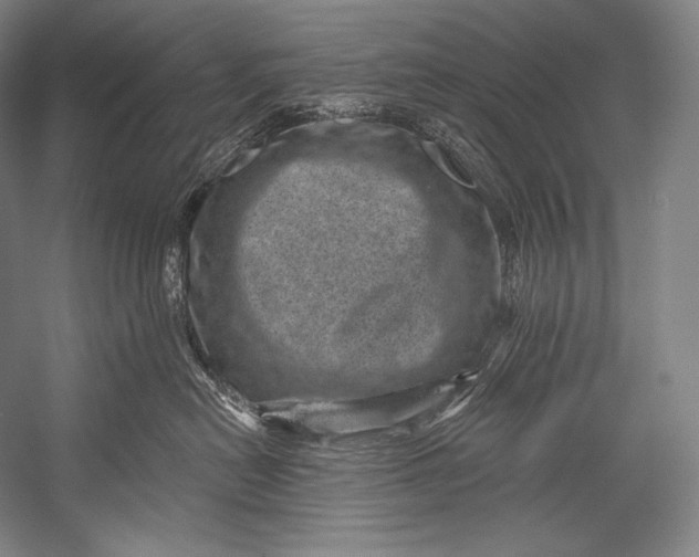 X0000052570478200507221507