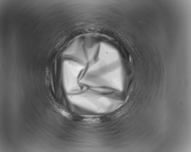 X0000052570480200507221507