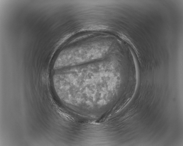 X0000052570483200507221506