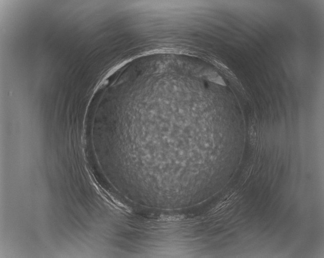 X0000052570484200507221506