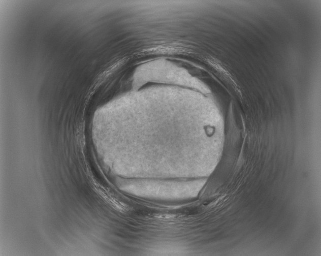 X0000052570486200507221506