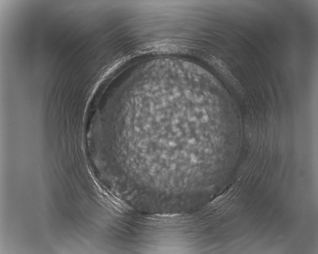 X0000052570488200507221506