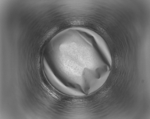 X0000052570490200507221506