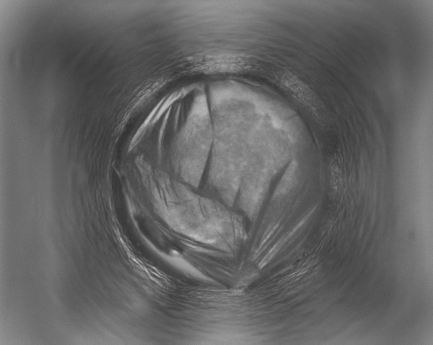 X0000052570491200507221506