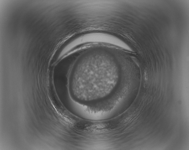 X0000052570492200507221506