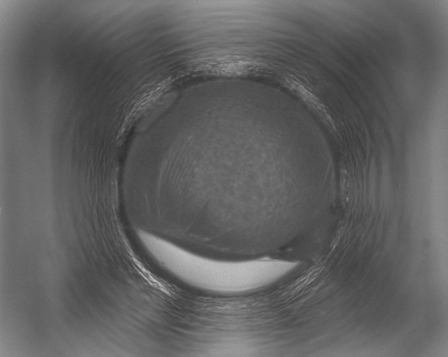 X0000052570493200507221506