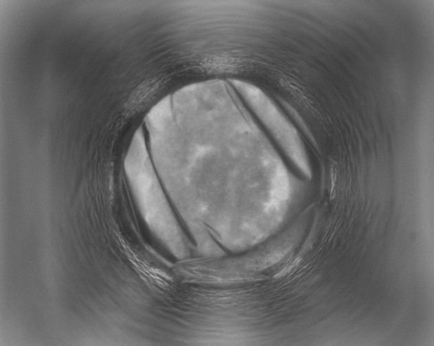 X0000052570494200507221506