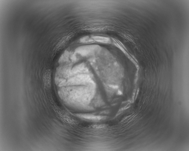 X0000052570495200507221506