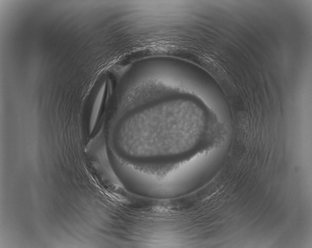 X0000052570496200507221506