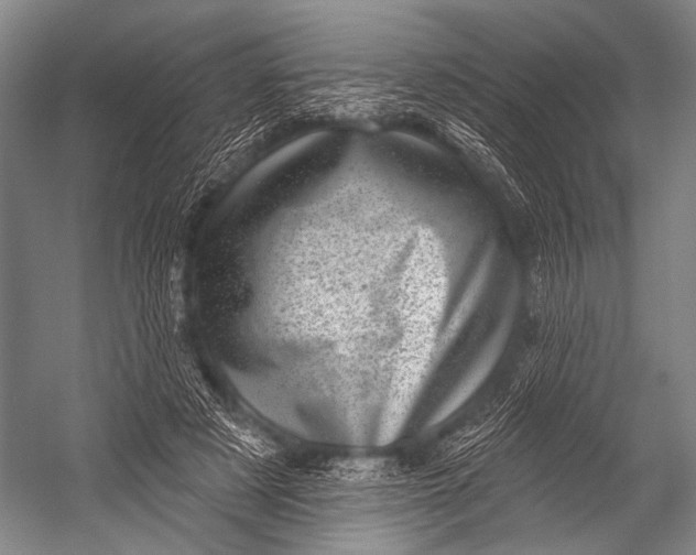 X0000052570497200507221506