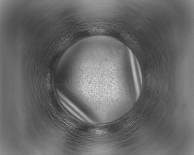 X0000052570498200507221506