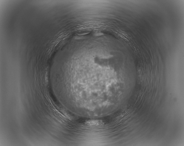 X0000052570499200507221506