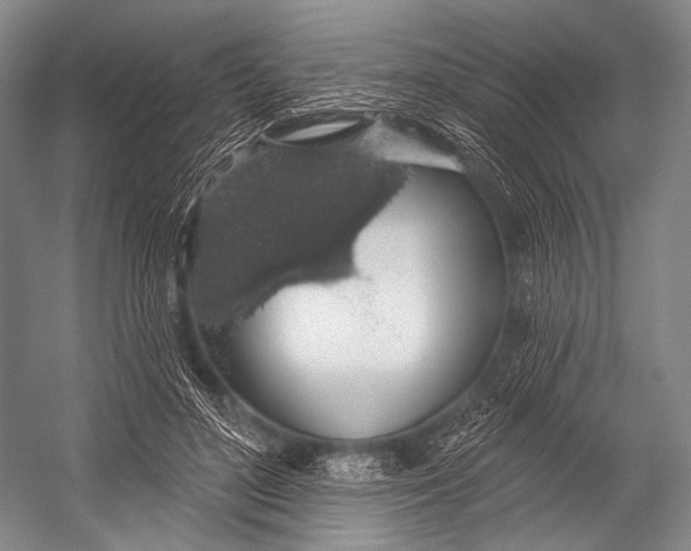 X0000052570500200507221506