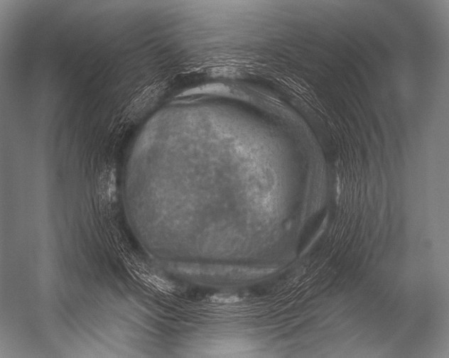 X0000052570502200507221506