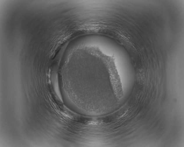 X0000052570504200507221506