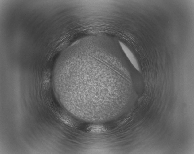 X0000052570507200507221505