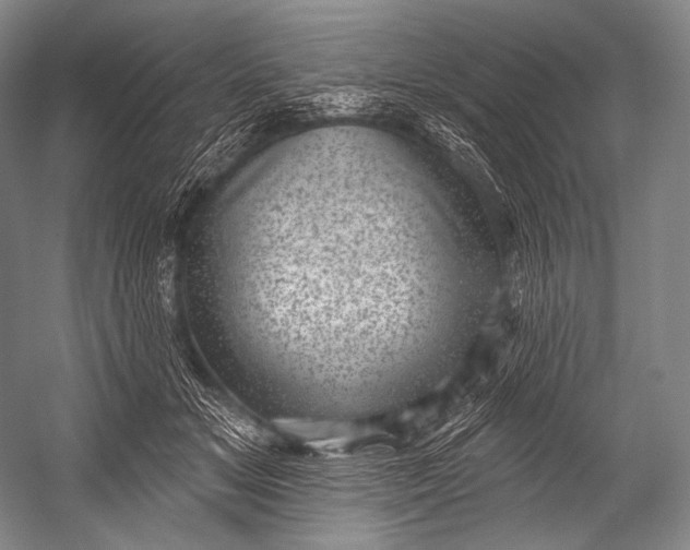 X0000052570509200507221505