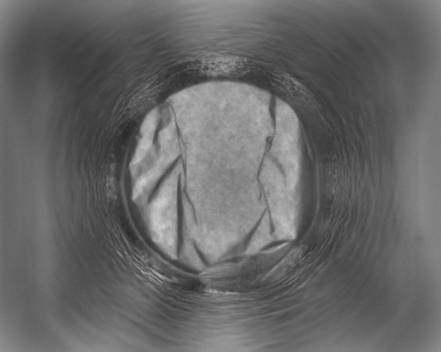 X0000052570510200507221505