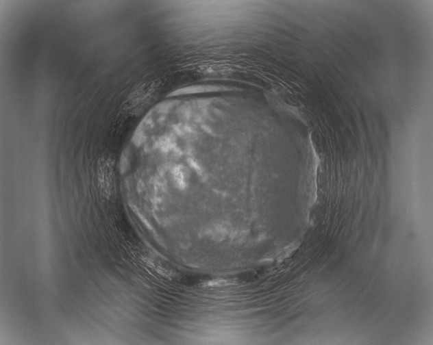 X0000052570511200507221505