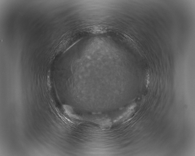 X0000052570512200507221505