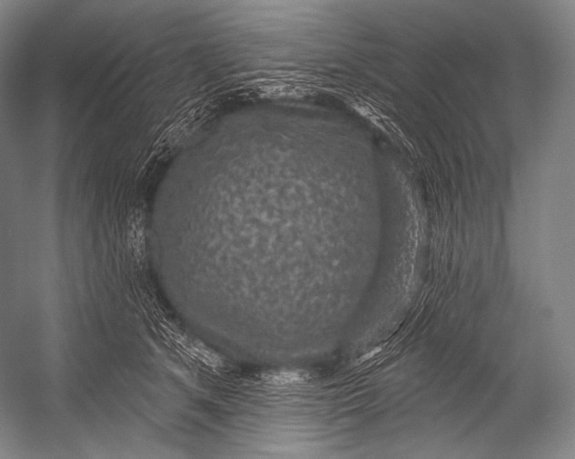 X0000052570513200507221505