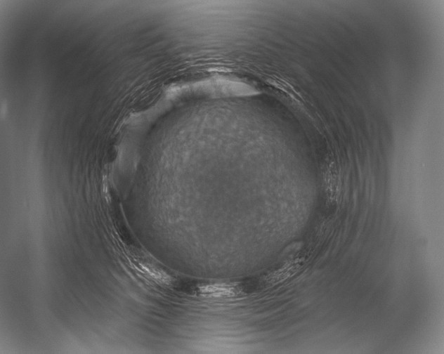 X0000052570516200507221505