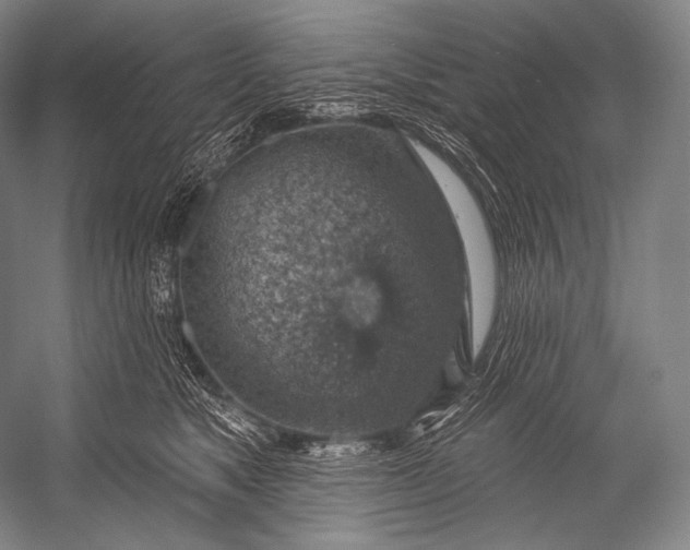 X0000052570517200507221505