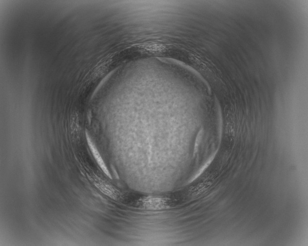 X0000052570518200507221505