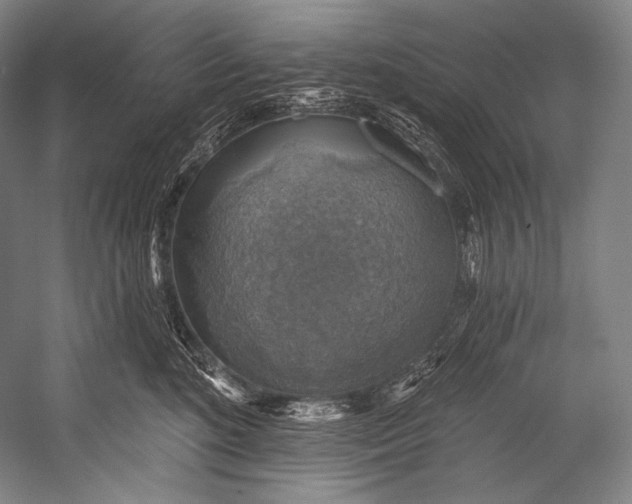 X0000052570520200507221505