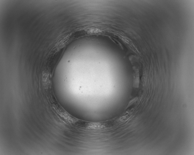 X0000052570521200507221505