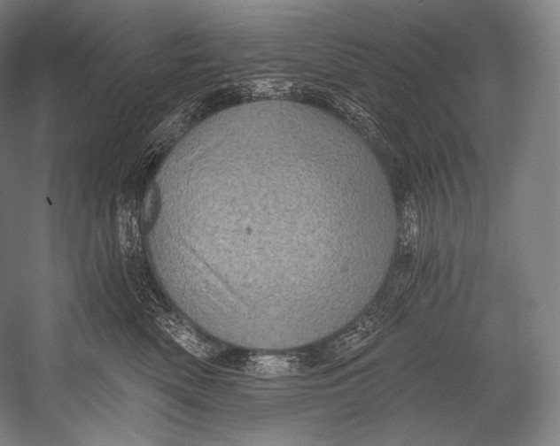 X0000052570522200507221505