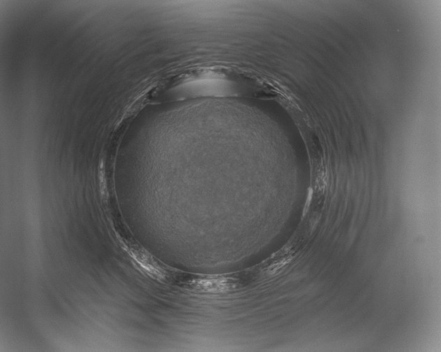 X0000052570524200507221505