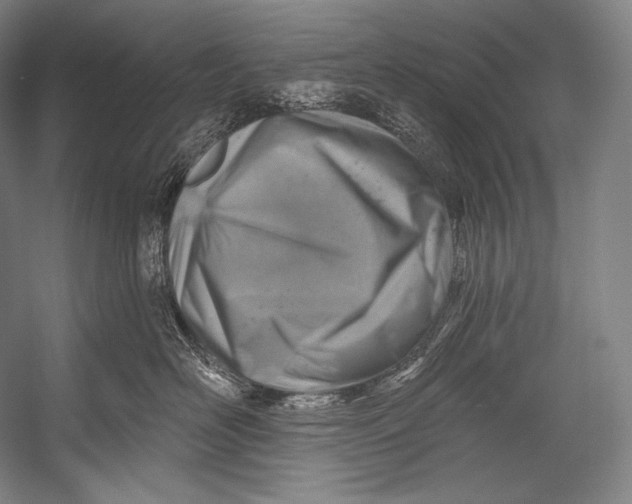 X0000052570526200507221505