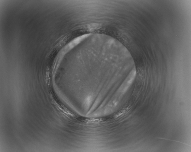 X0000052570527200507221505