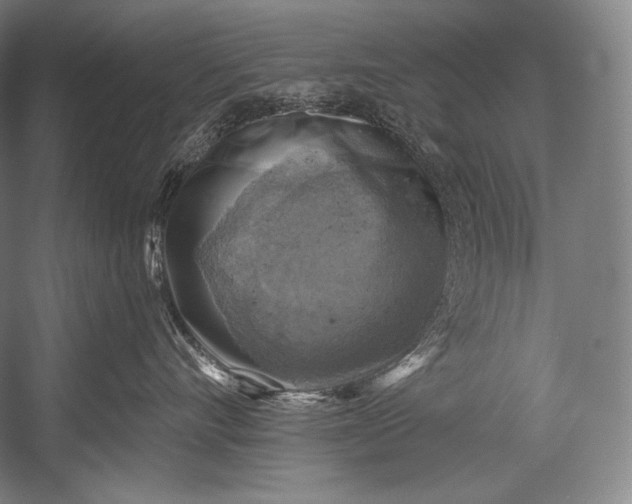 X0000052570528200507221505