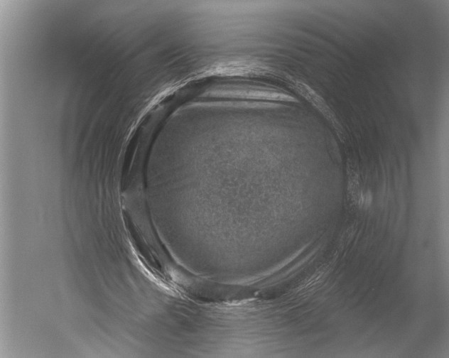 X0000052570530200507221504