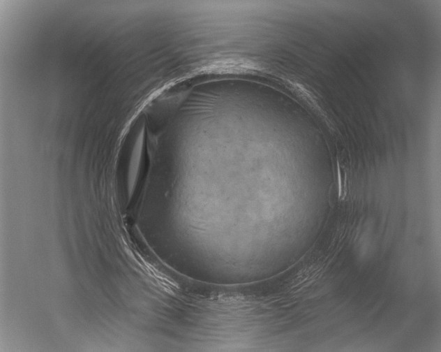 X0000052570531200507221504