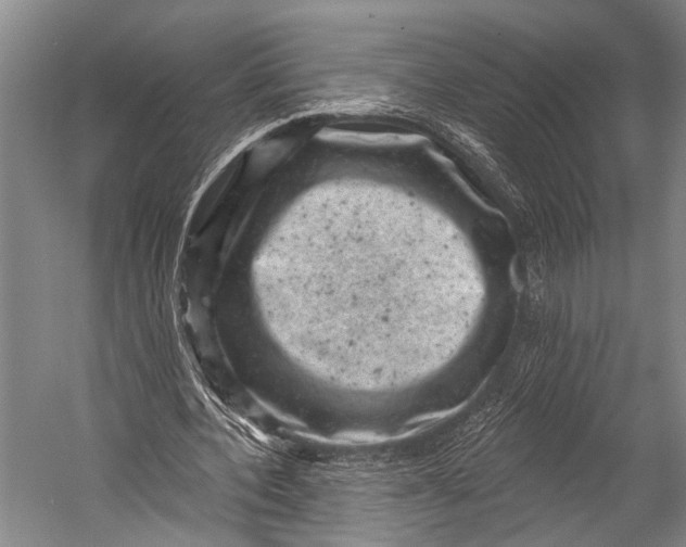 X0000052570532200507221504