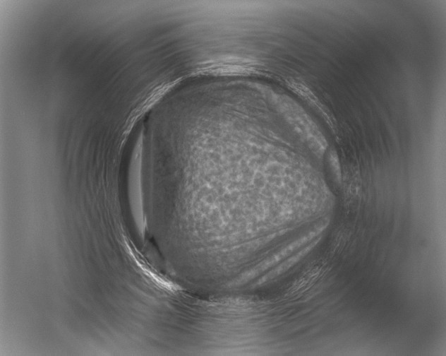 X0000052570533200507221504