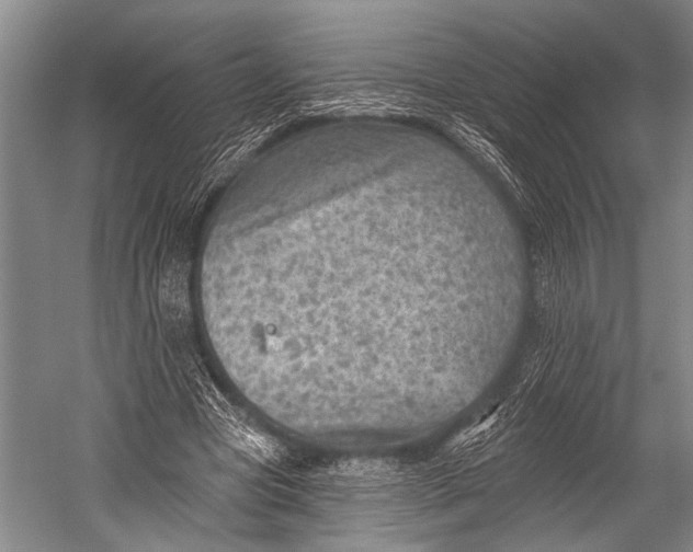 X0000052570537200507221504