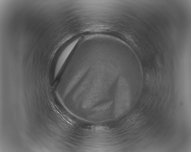 X0000052570539200507221504