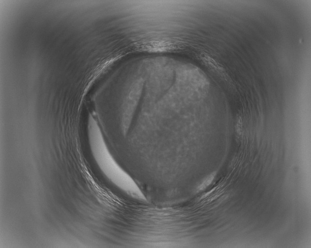 X0000052570540200507221504