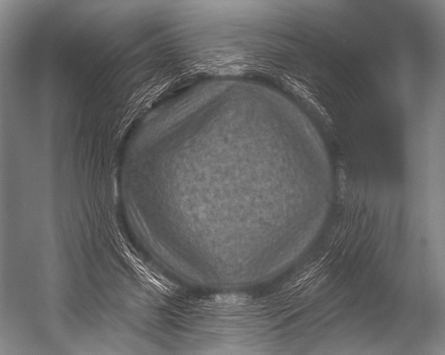 X0000052570541200507221504