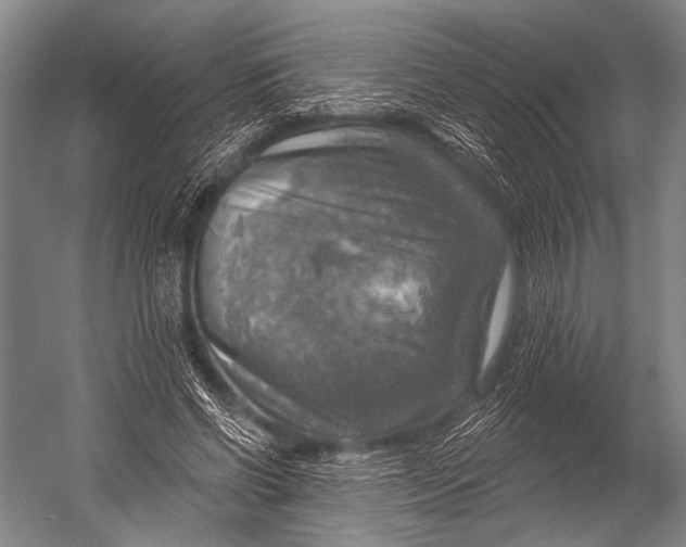 X0000052570542200507221504