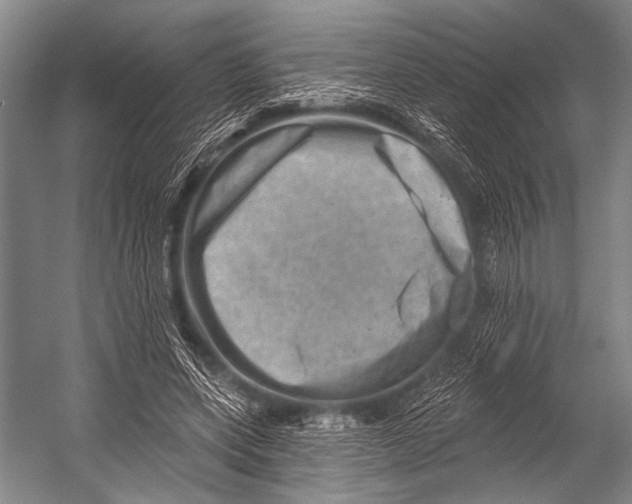 X0000052570543200507221505