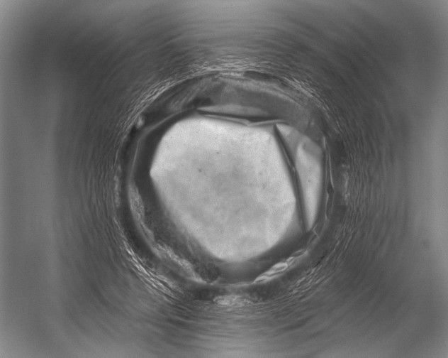 X0000052570544200507221505